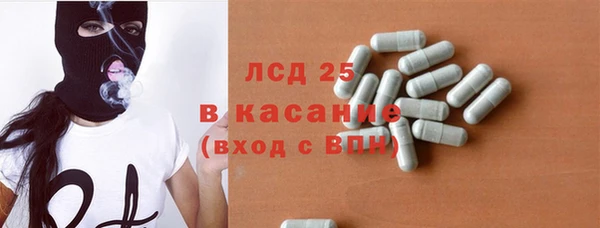 ГАЛЛЮЦИНОГЕННЫЕ ГРИБЫ Горняк