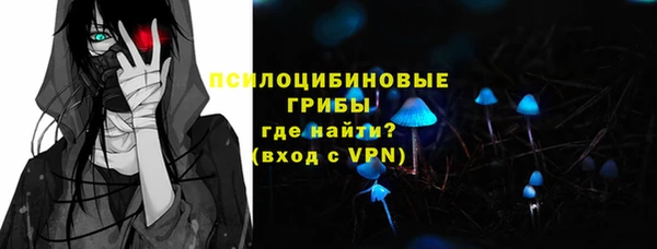 ГАЛЛЮЦИНОГЕННЫЕ ГРИБЫ Горняк